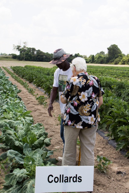 Heifer supporters and staff visit Arkansas Delta.