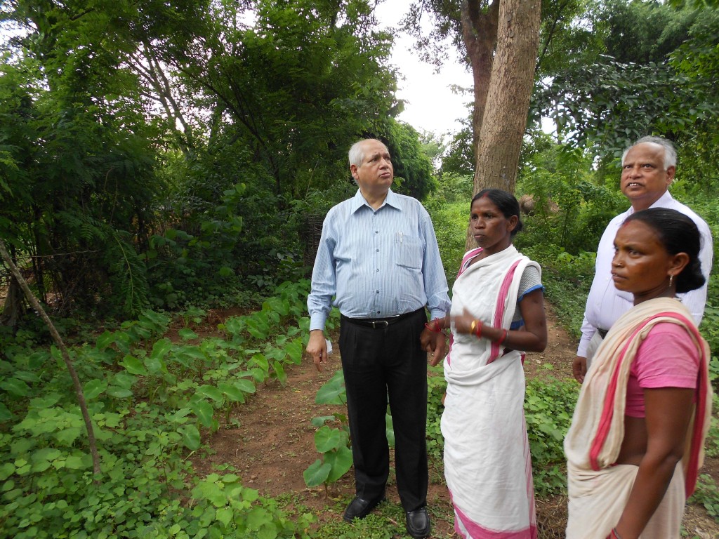 Heifer India project participants give a tour of their vegetable garden