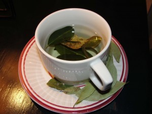 A cup of coca tea