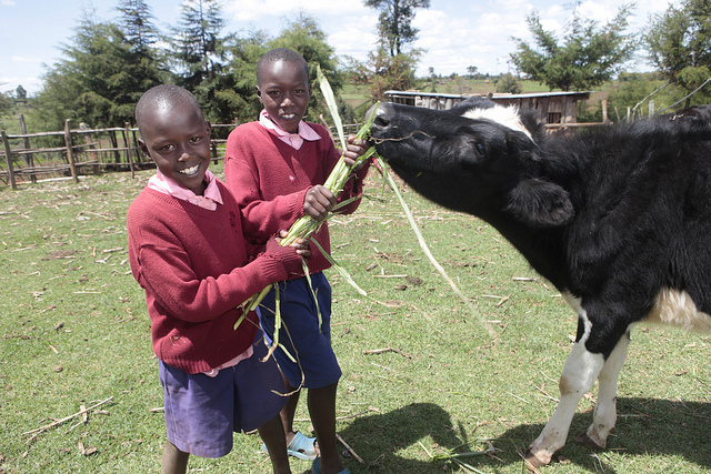 Children attending school in Kenya thanks to EADD.