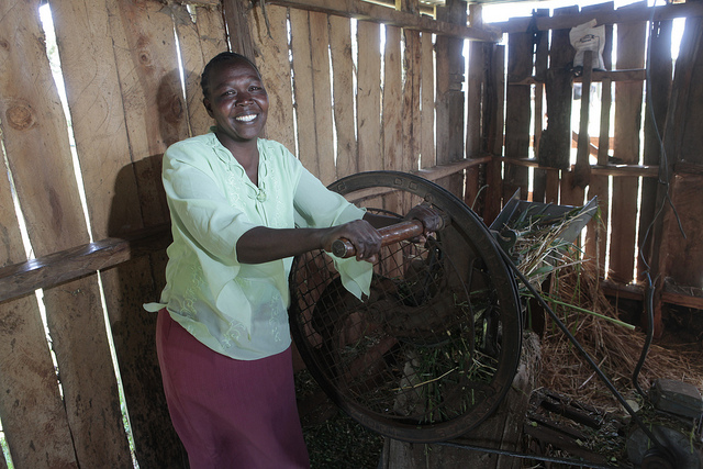 Women farmers as part of collective impact.