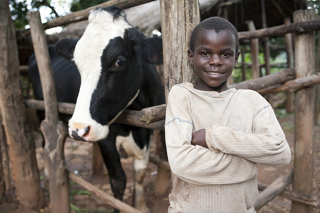 Help end poverty with Heifer International