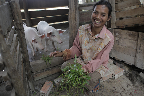 Sustainability Summit: Sok Pheary Feeds Her Pigs