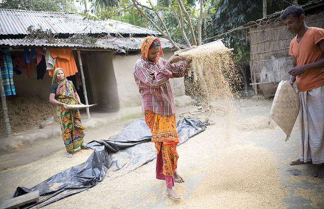 Smallholder Farmers in Bangladesh