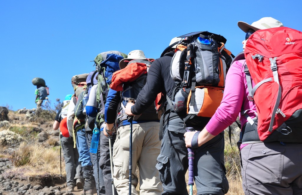 climbing Kilimanjaro w Heifer