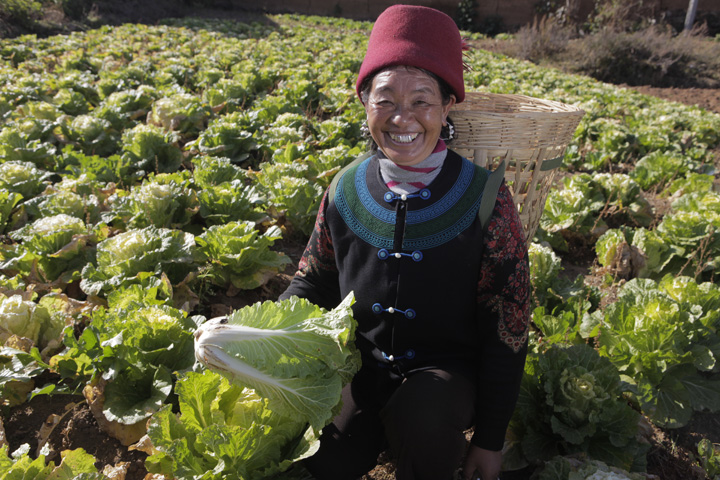 World Food Day: Jibu Guoguo, collects cabbage from her garden.