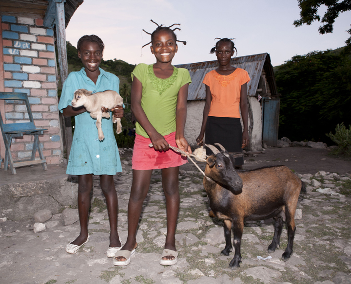 Young girls in Haiti participating in a Heifer International project