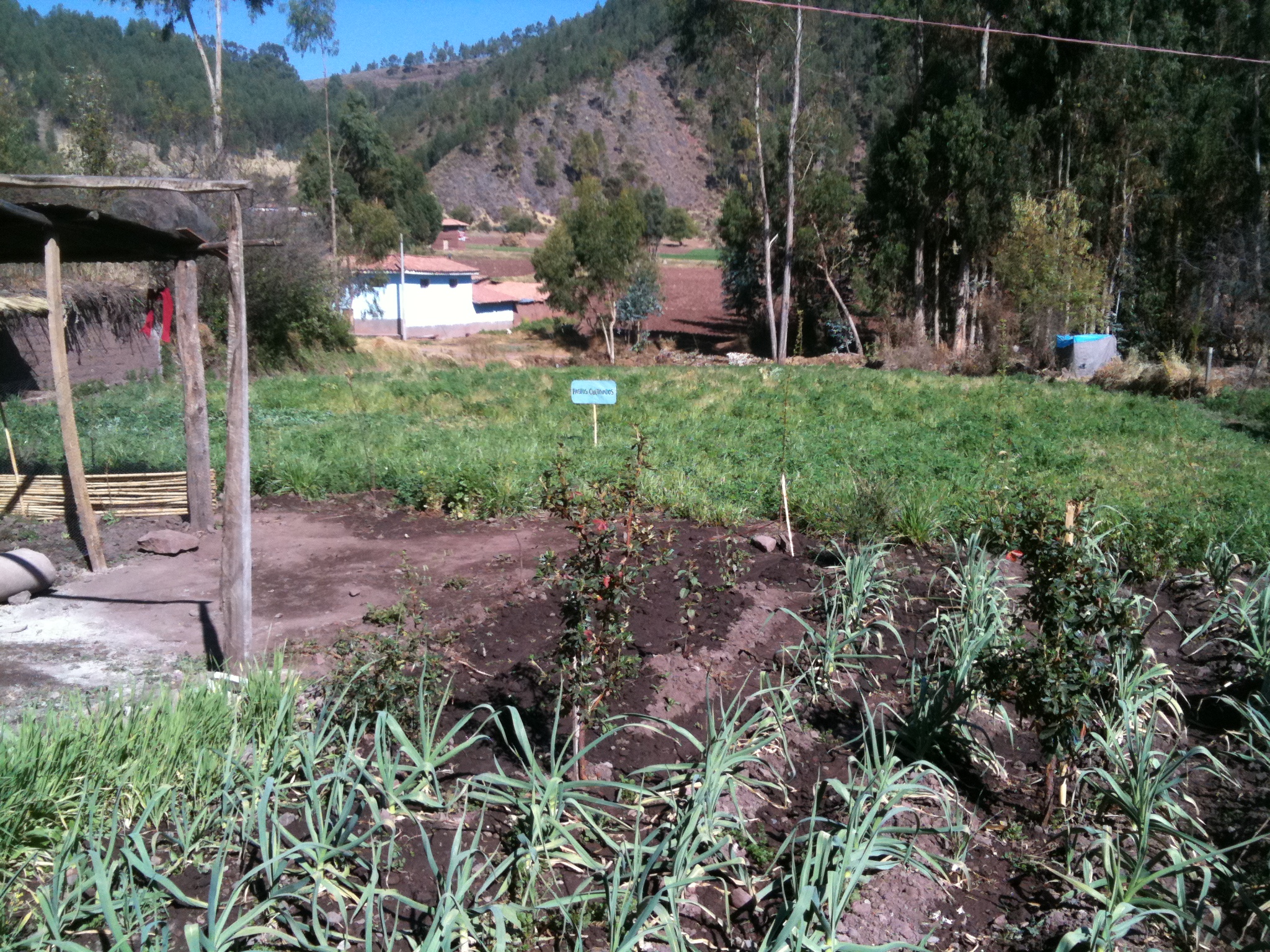 Sustainability in Peru