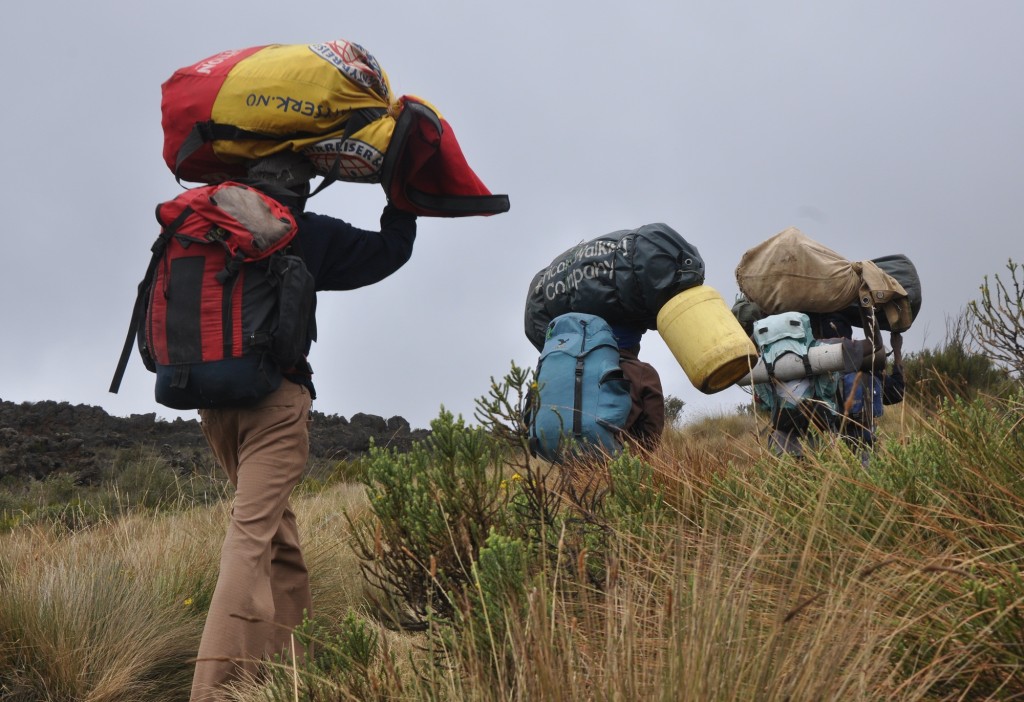 Porters on Kilimanjaro Elanco-Heifer trip