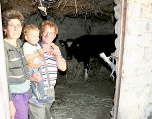 Alexe's family welcomes their Irish heifer into its new home. 