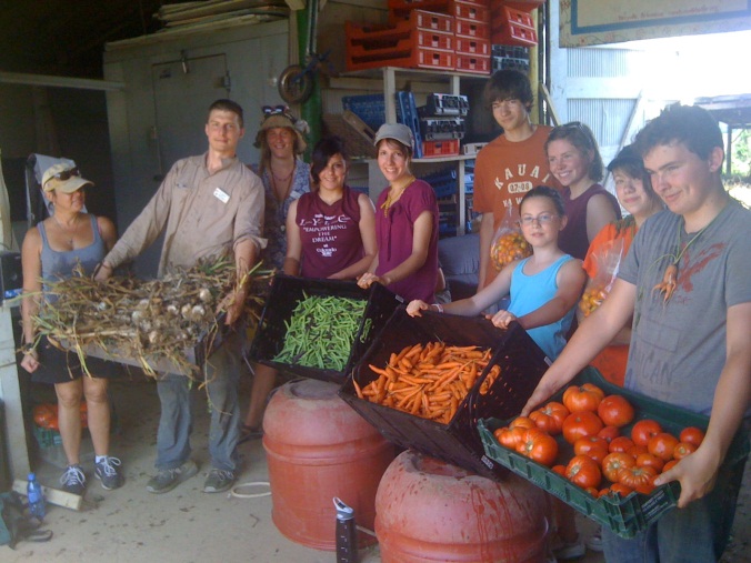 CSA volunteers on harvest day