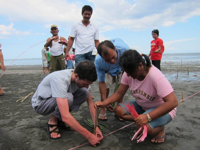 Disaster Reduction: planting mangroves in Lamba