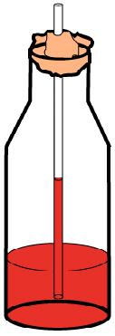 Make your own thermometer.