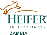 Heifer Zambia