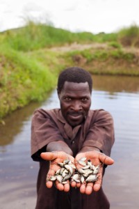 Tanzania aquaculture