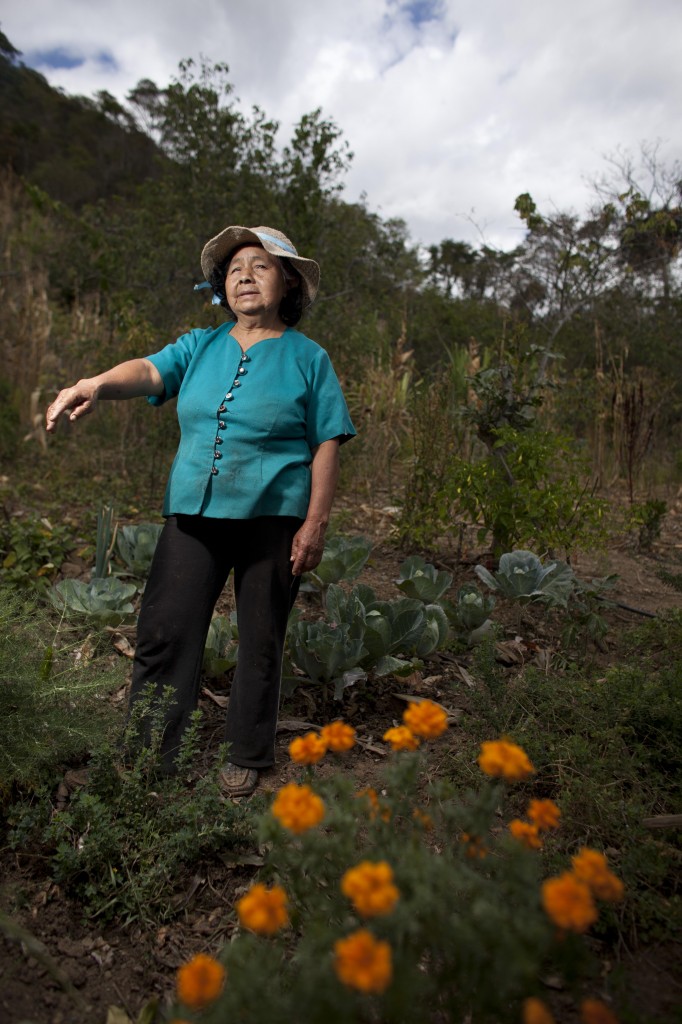 Self-Reliance in Ecuador's Dry Forest