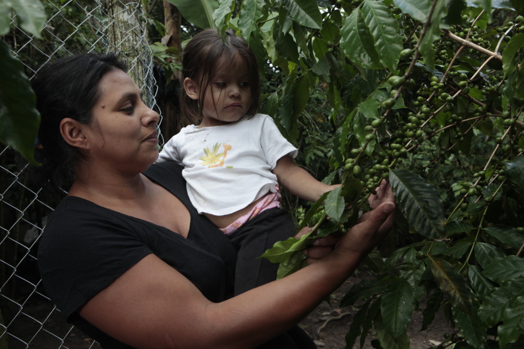 Marina Concepcion Hernandez, 37, holds Katherine Michelle Mejia Aguilar, 2, as the two inspect coffee plants in the village of Arenales in Honduras.