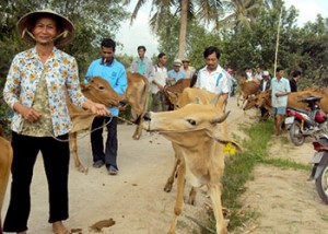 Vietnam Animal Distribution Ceremony