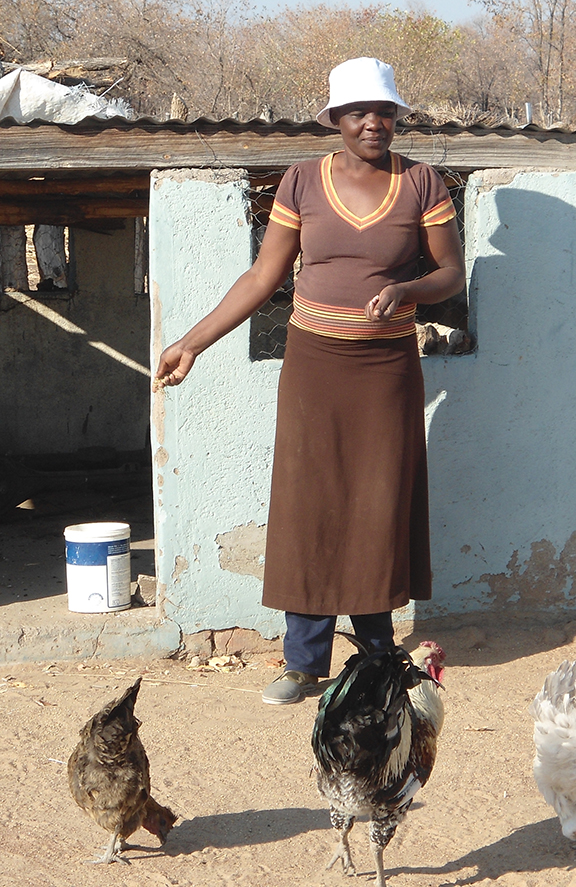 Jennifer Moyo with her chickens in Zimbabwe.