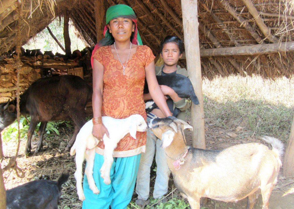 Manamaya Nepali and her son with their family's goats. Photo courtesy of Heifer International