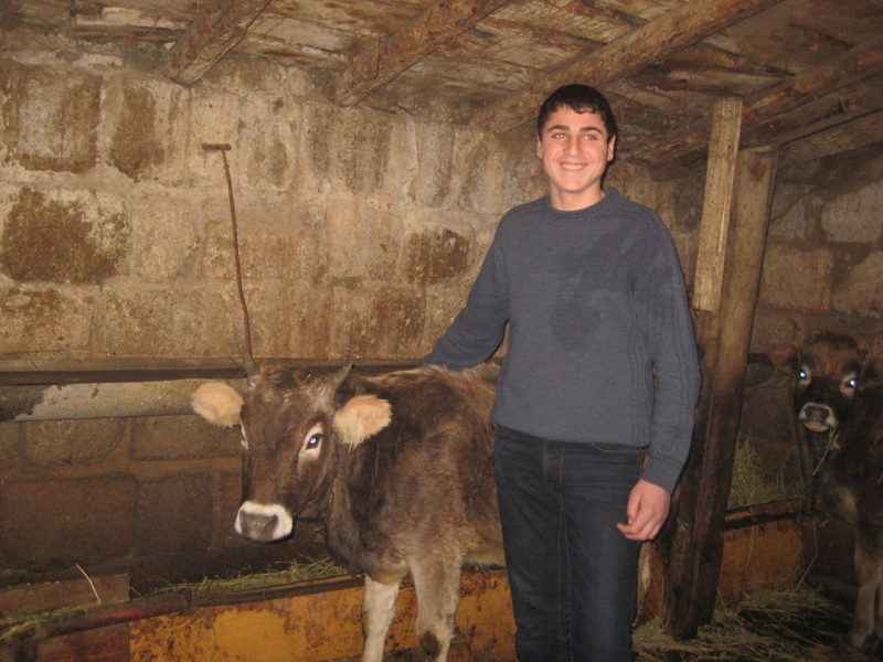 Norik with his calf. Photo by Knarine Ghazanchyan, Program Coordinator, Heifer Armenia
