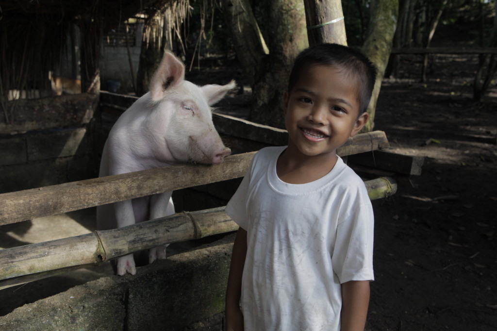 Rocky Carag, 6, with one of the family pigs. Photo by Russell Powell. 