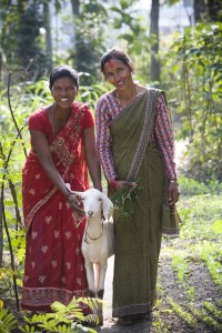Anju Chaudary (left) received a goat from Devake Adhikari in a Pass on the Gift ceremony. Photo by Geoff Oliver Bugbee