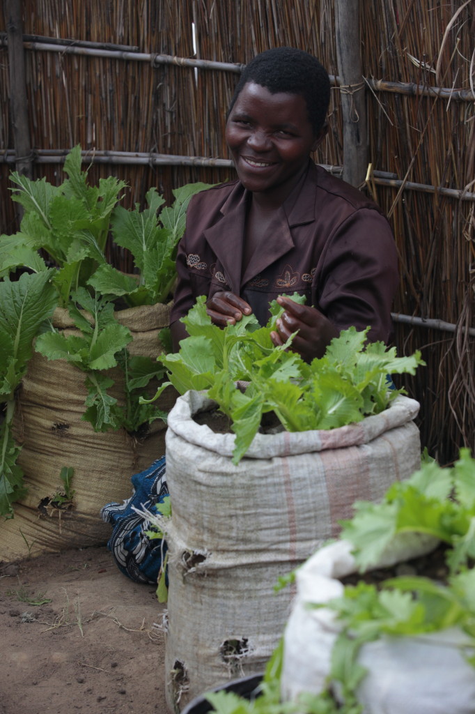 Kasungu Sustainable Agriculture & Natural Resource Management Pr