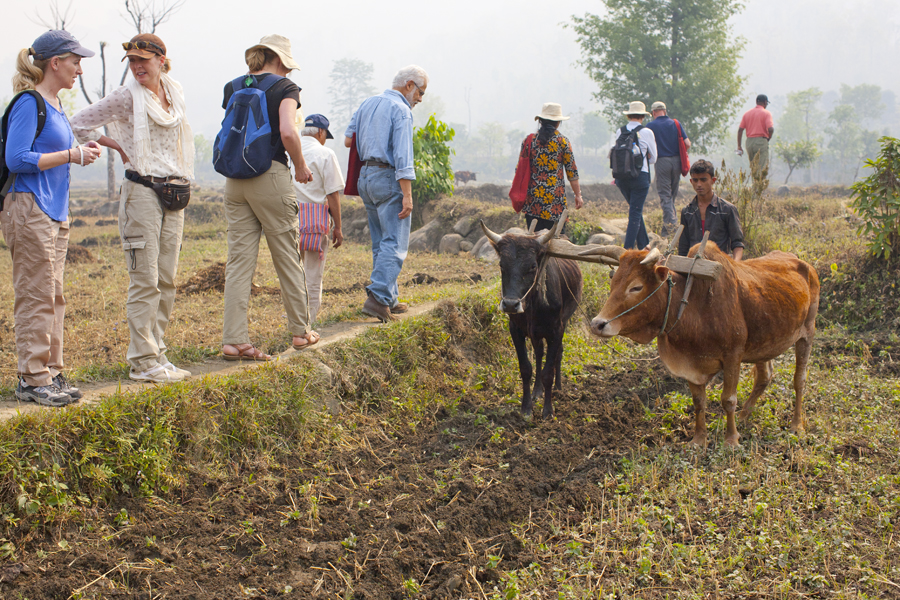Heifer Board members and staff walk through being plowed on the way to a project visit. Photo by Geoff Oliver Bugbee