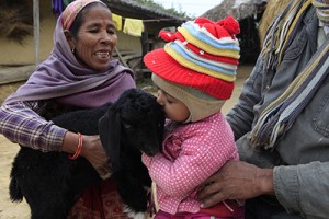 Nepalese Girl Kisses Her Goat