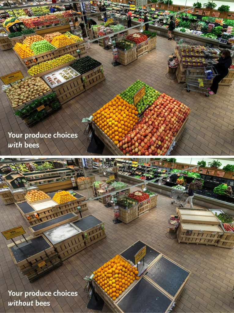 Grocery store without bees.
