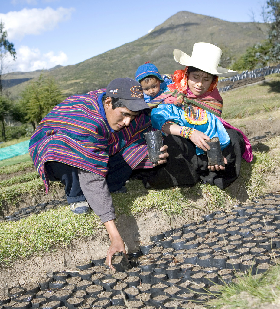 Diversified Farming - Peru
