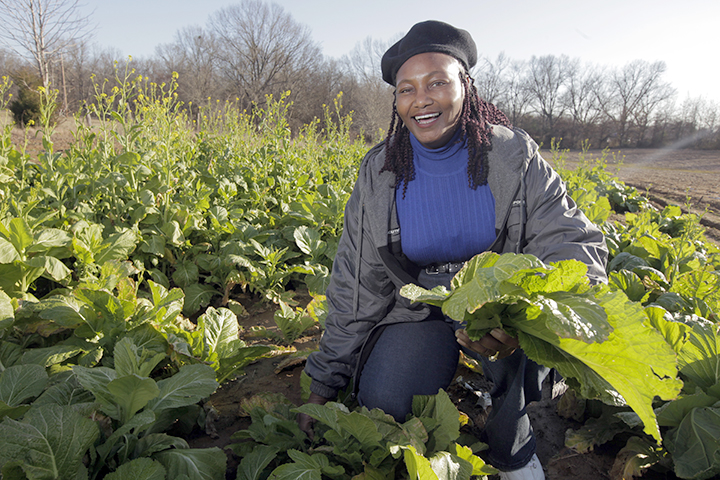 Velma Caruthers picks mustard greens at her home in St Francis County, Arkansas. Photo courtesy Heifer International.