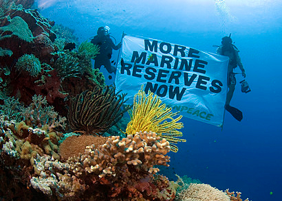 Greenpeace divers at a marine reserve near the Philippines. Photo credit: flickr.com Greenpeace USA