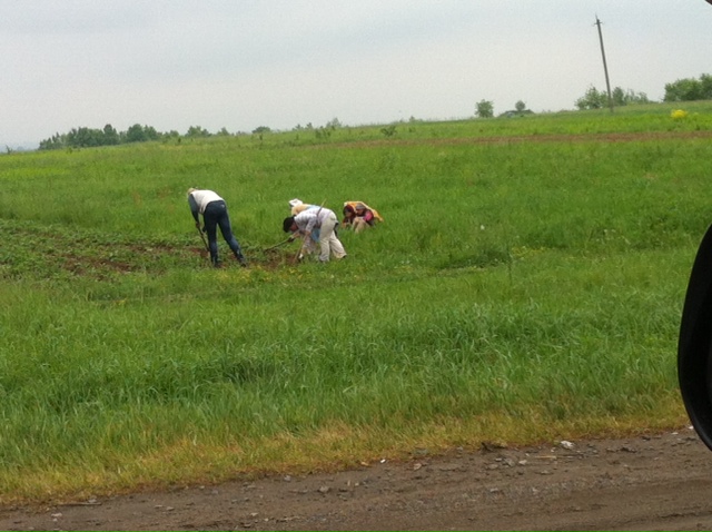 Farmers in rural Ukraine.
