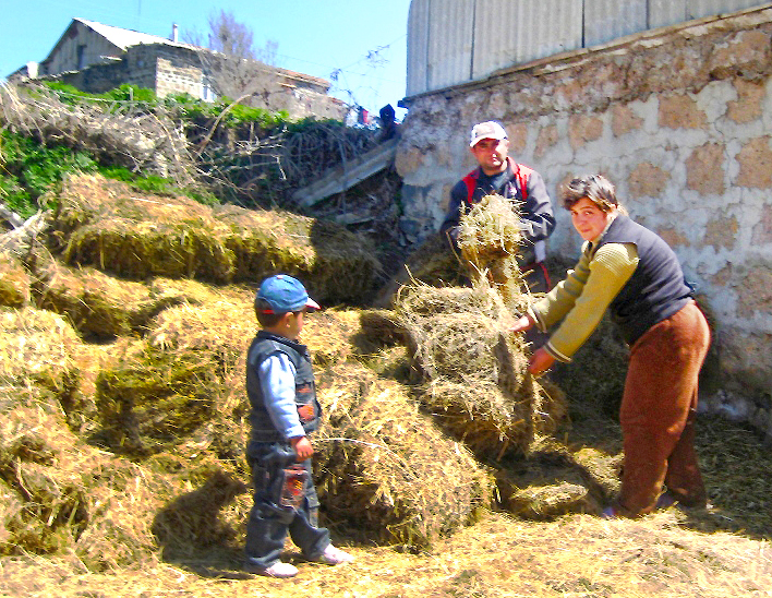 The Mikaylyan family prepare their barn for a new cow. Photo by Liana Hayrapetyan, Communication and PR Coordinator, Heifer Armenia