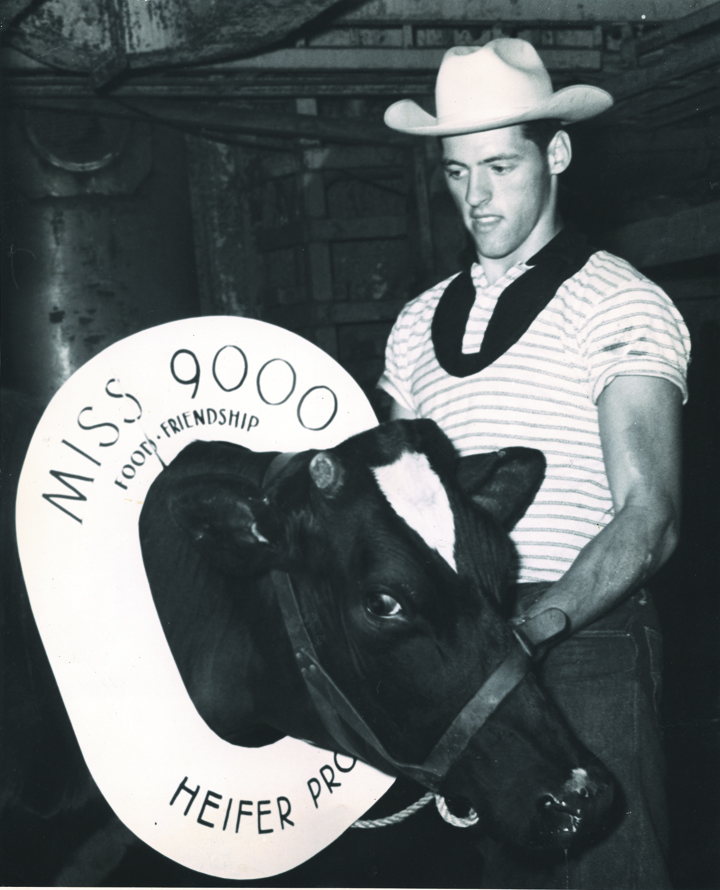 Richard Tobias, Akron, Ohio, cattle attendant and Miss 9000th, who was donated by Mr. and Mrs. Clayton Overly, of Bareville, PA. Richard and Miss 9,000th sailed September 6, from New York City with 58 other heifers bound for West Germany. Photo courtesy of Heifer International