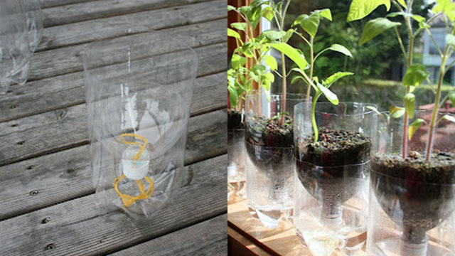 Try this simple DIY project and make your own self-watering planter. Photo courtesy of lifehacker.com