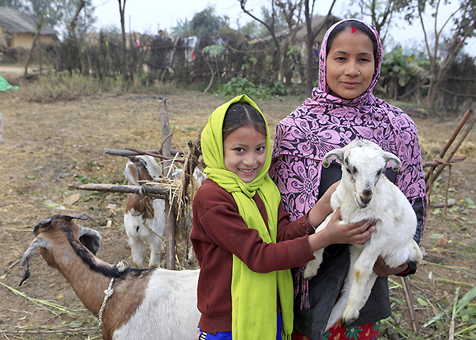 Manju Rasaili, 27, and her daughter Mira Sunwar, 7, with their goats in Tleyanpur Village, Nepal. Photo courtesy of Heifer International