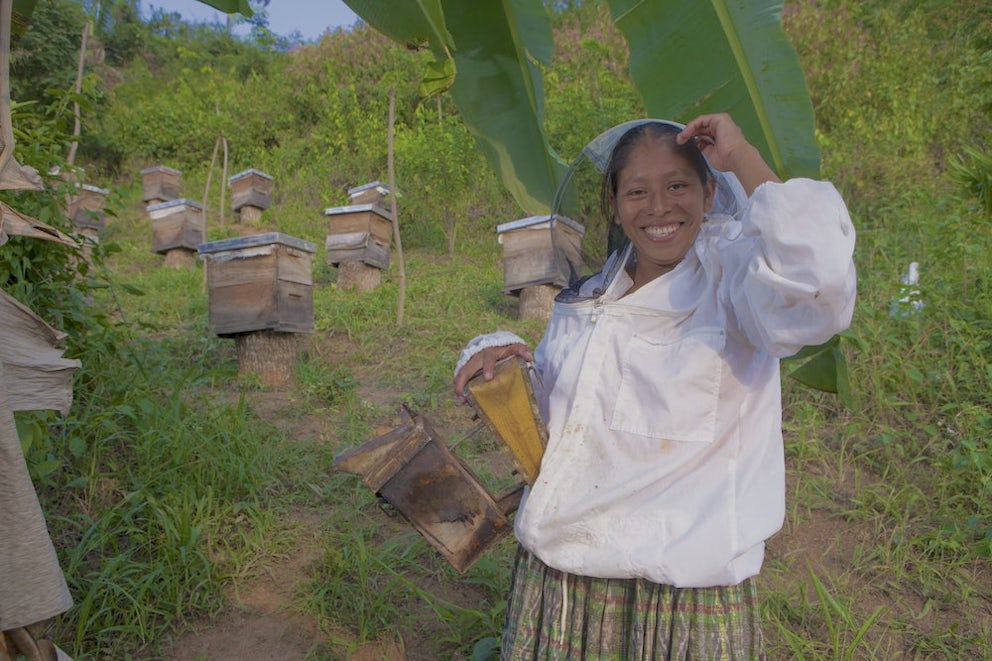 beekeeper standing in front of hives