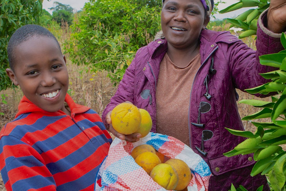 Heifer Participants gathering fruit from their trees