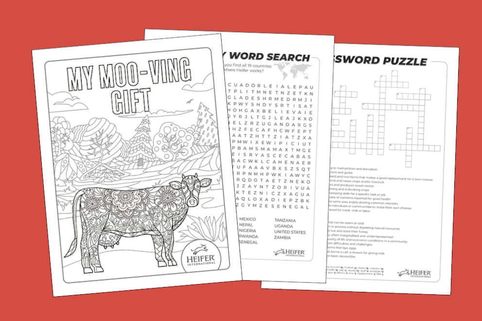 Screenshots from heifer activity pack