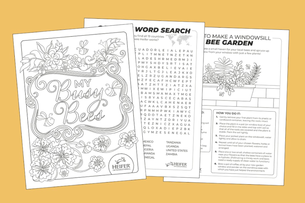 A screenshot of pages from the Bees Activity Pack
