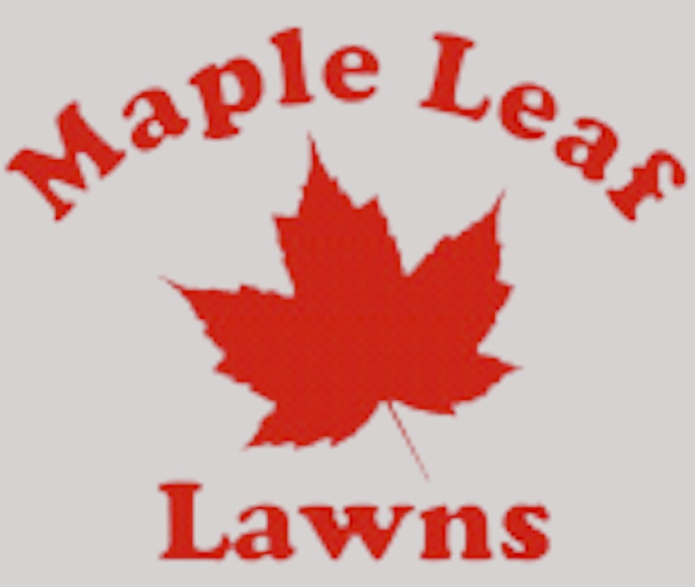 Maple Leaf Lawns Logo.