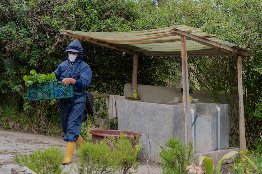 worker carrying a basket of food