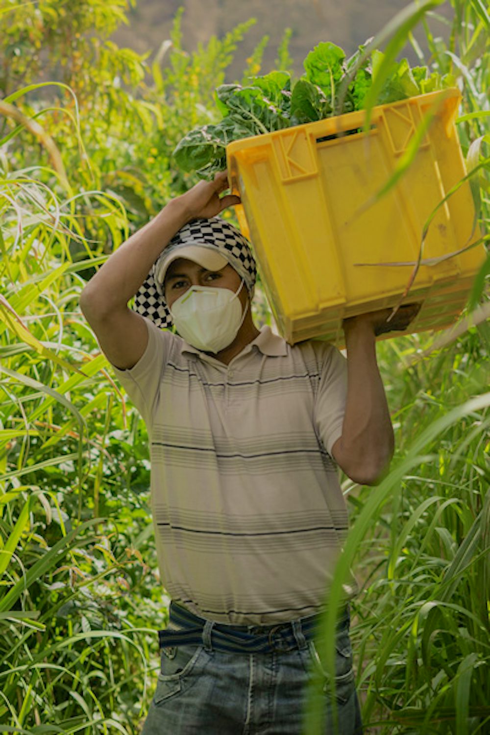 man carries basket of food through a field while wearing a mask