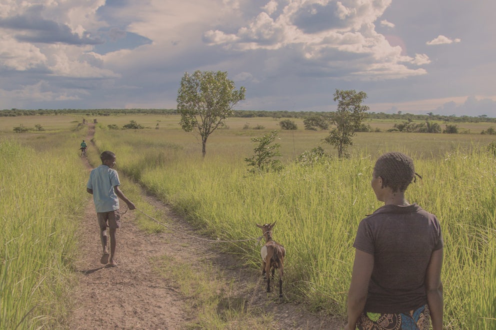 A boy walking his goat with his mother.