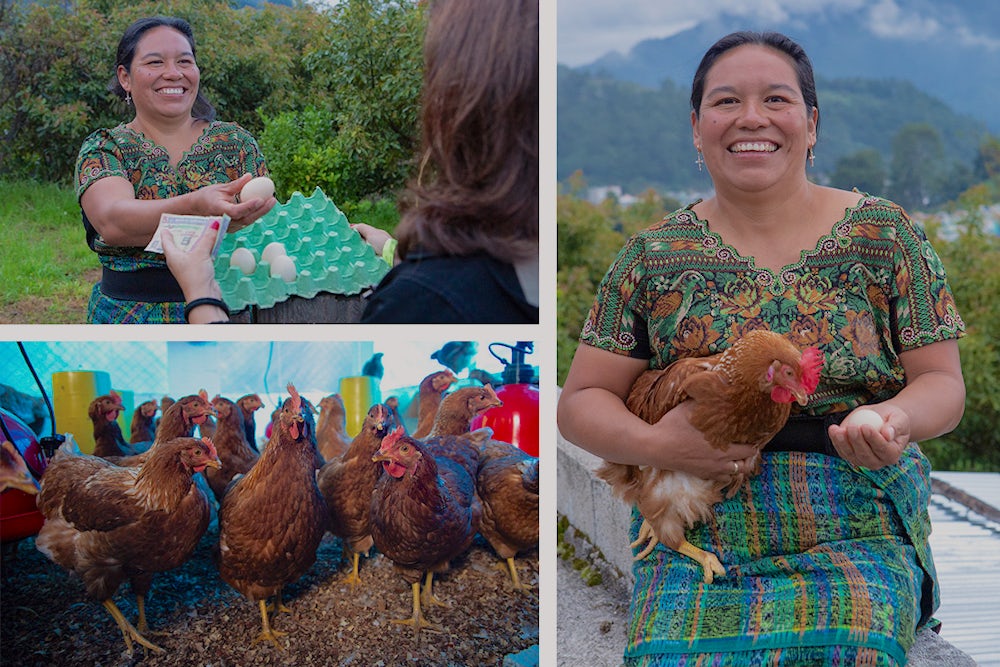 (Top Left) Juana Maria, sells chicken eggs (Bottom Left) Egg laying chickens belonging to Juana Maria and her husband Carlos (Right) Juana Maria holds a chicken and egg