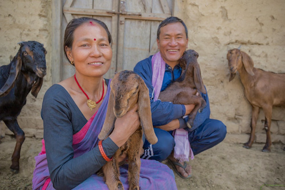 Basmati Budha and her husband Madankumar Budha smile with their goats. 
