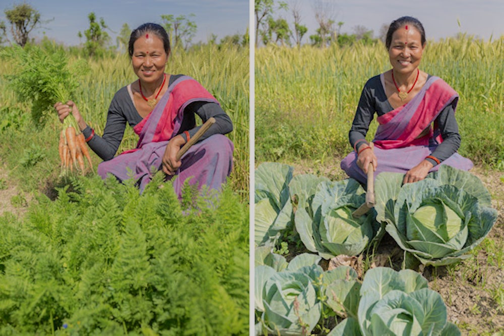 Two photo of Basmati. On the left she is sitting in a field holding carrots and on the right she is posing with her cabbage.